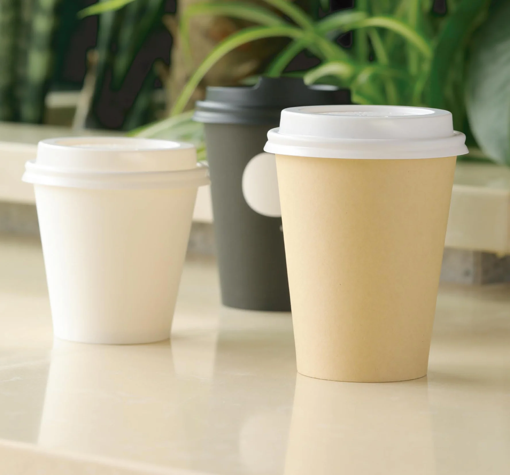 paper cup cawan kertas single wall
